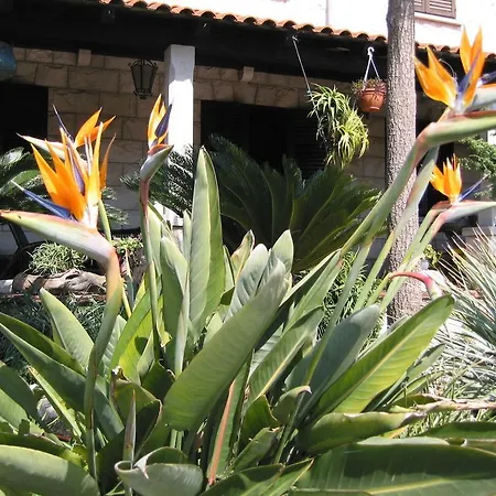 Maria Bilicic Guest house 3*