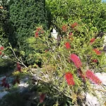 Gostinjska kuća Maria Bilicic Dubrovnik
