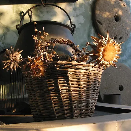 Maria Bilicic Maison d'hôtes
