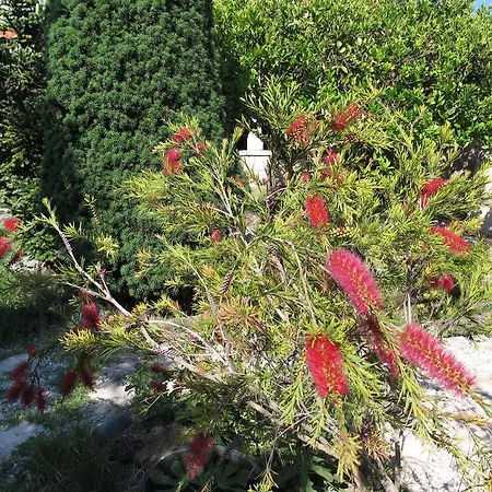 Maison d'hôtes Maria Bilicic Dubrovnik