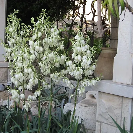 Maria Bilicic בית הארחה