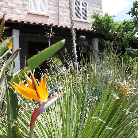 Konukevi Maria Bilicic Dubrovnik