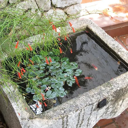 Konukevi Maria Bilicic 3*